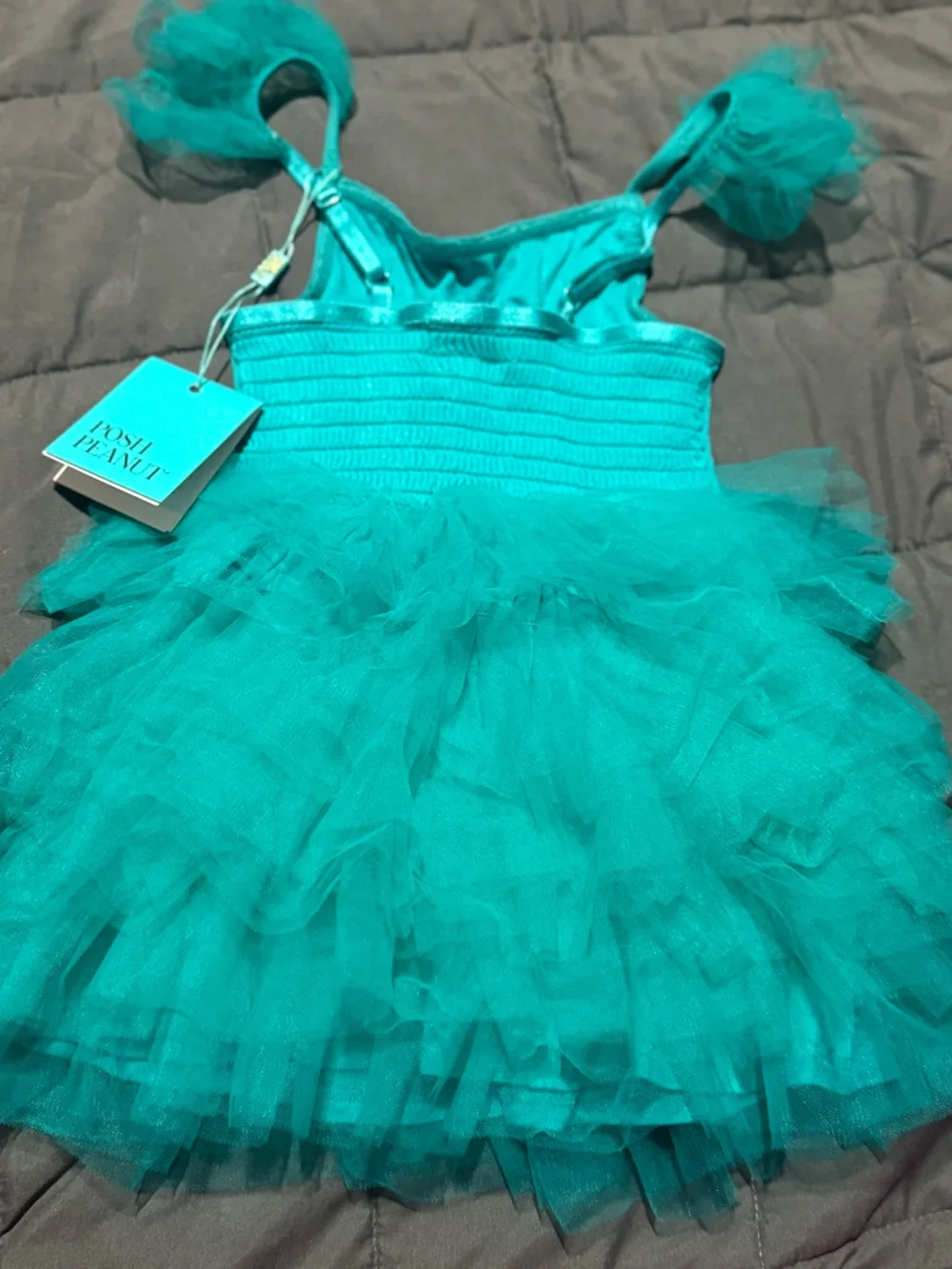 NWT Posh Peanut Tulle smocked tutu dress